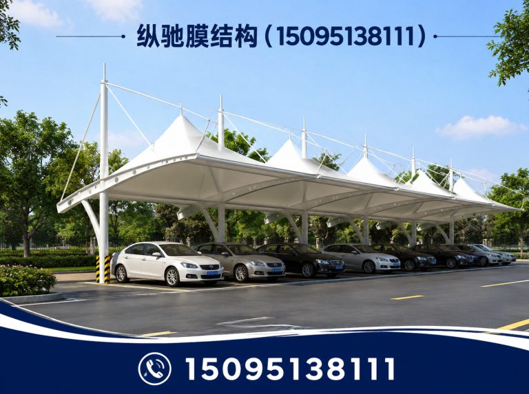 诸城市膜结构看台展示图